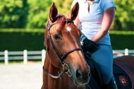 best horse riding mallorca