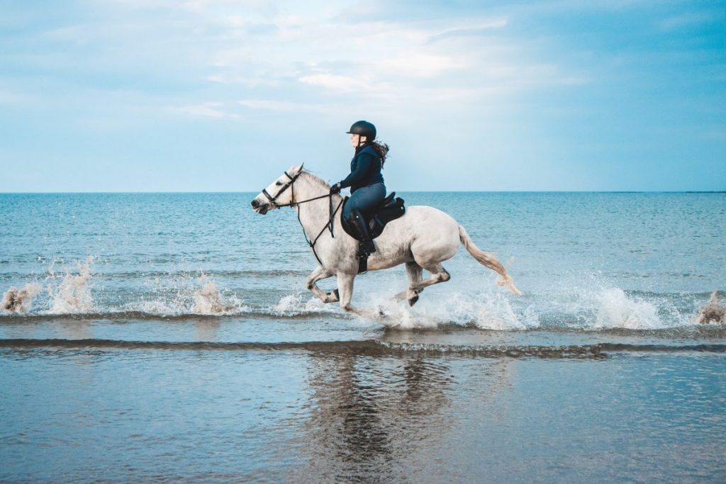 kid riding a horse on a beach