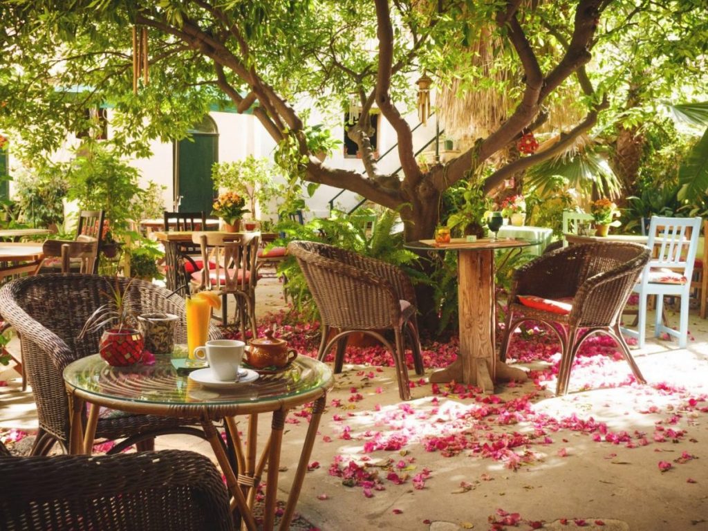Temple Natura outdoor seating