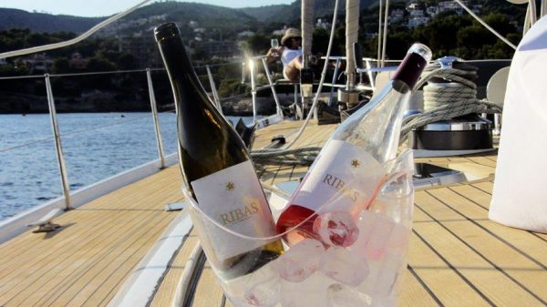 best mallorca wine tours