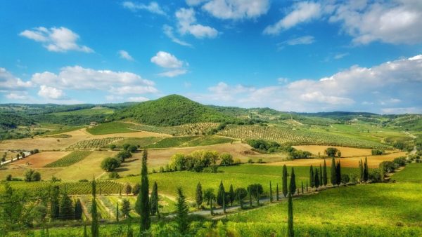 explore the tuscany countryside