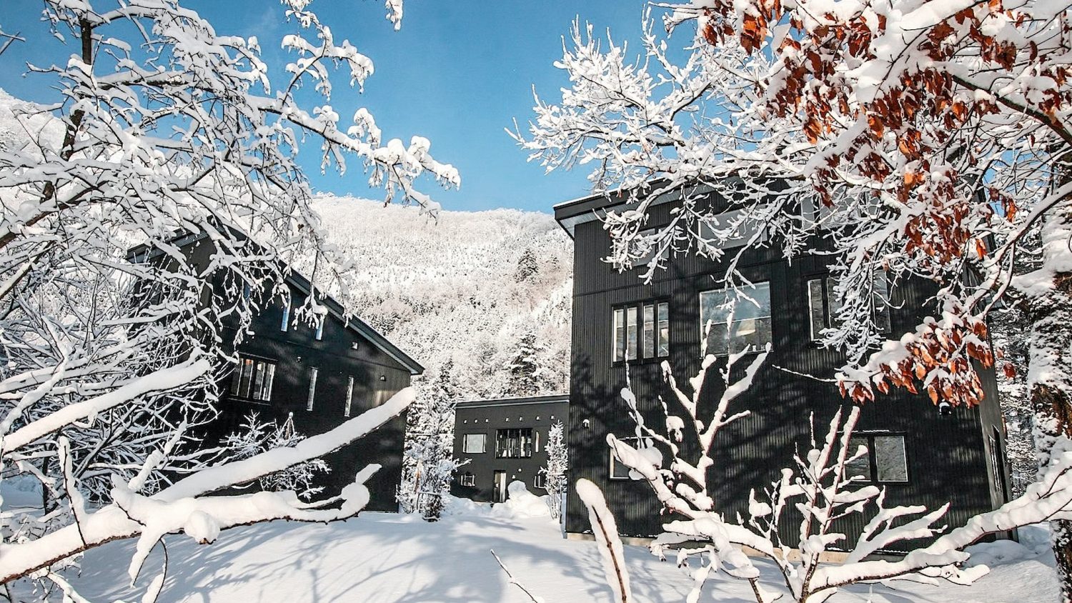 Chalet Powdersuites - Hakuba Accommodation