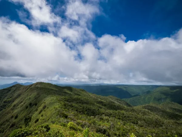 Must do in Mauritius