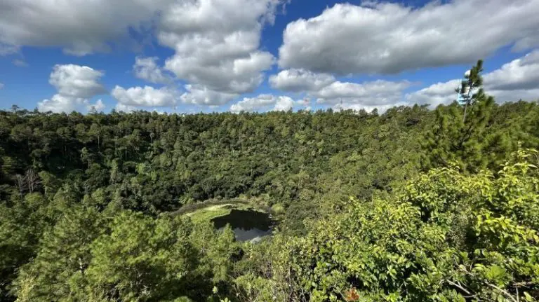 breathtaking view at the biggest forest conservation in Mauritius.