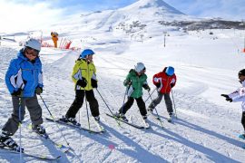 Ski Lesson in Japan_ Your Complete Guide to Learning, Levelling Up & Not Panicking on Snow