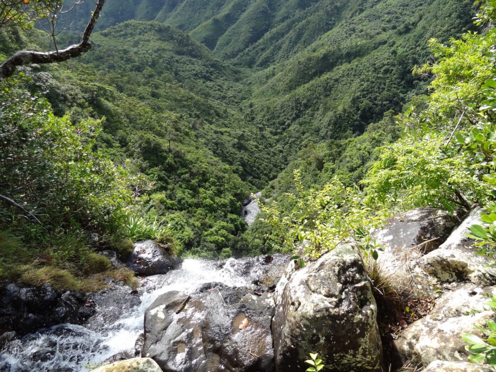 Black River Gorges