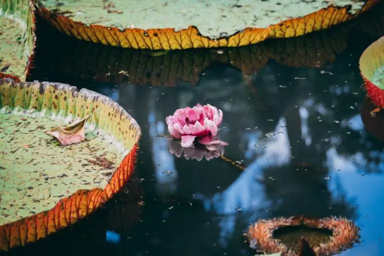 Beautiful natural wonders
