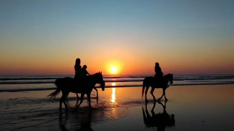 Horseback riding is one of the perfect activity to do in Mauritius.
