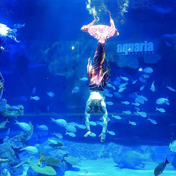 Aquaria Phuket mermaid show
